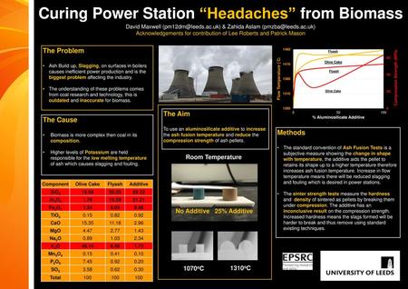 Curing Power Station “Headaches” from Biomass