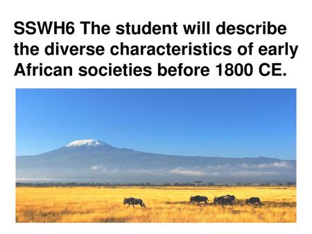 SSWH6 The student will describe the diverse characteristics of early African societies before 1800 CE.