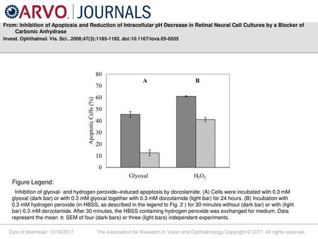 From: Inhibition of Apoptosis and Reduction of Intracellular pH Decrease in Retinal Neural Cell Cultures by a Blocker of Carbonic Anhydrase Invest. Ophthalmol.