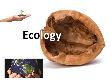 Ecology.