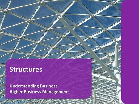 Structures Understanding Business Higher Business Management 1.