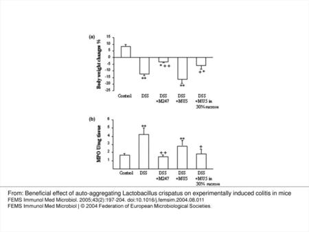 Figure 4 Lack of protective effects of dietary supplementation with non-aggregating mutant L. crispatus MU5 on DSS colitis. DSS colitis was induced as.