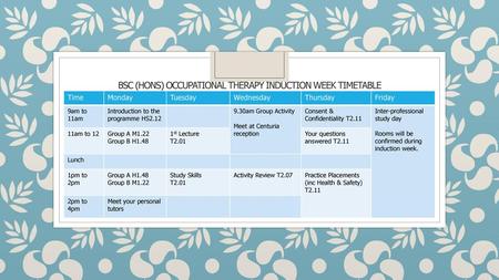 BSc (Hons) Occupational Therapy Induction Week Timetable