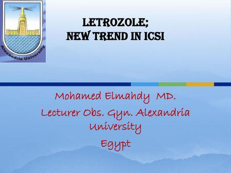 Mohamed Elmahdy MD. Lecturer Obs. Gyn. Alexandria University Egypt