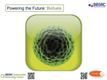 Powering the Future: Biofuels