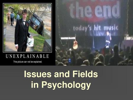 Issues and Fields in Psychology