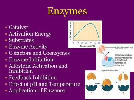 Enzymes Catalyst Activation Energy Substrates Enzyme Activity