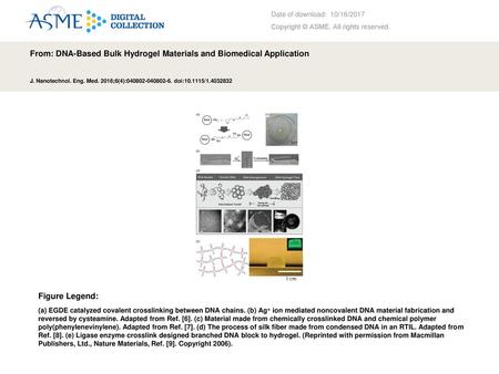 From: DNA-Based Bulk Hydrogel Materials and Biomedical Application