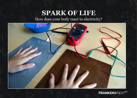 How does your body react to electricity?