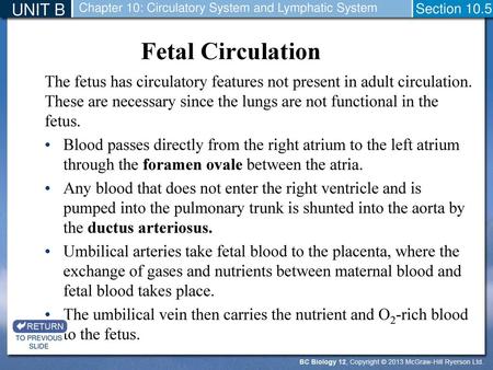 Fetal Circulation UNIT B