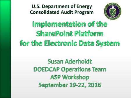 U.S. Department of Energy Consolidated Audit Program