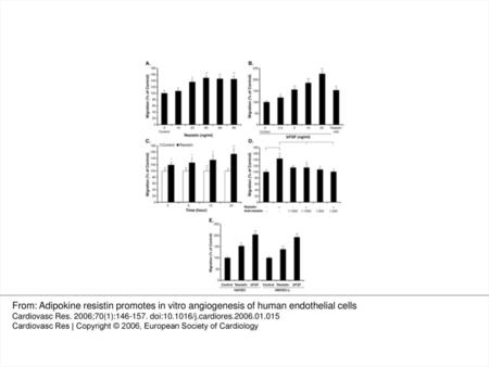 Fig. 2 Effect of resistin and bFGF on human endothelial cells by MTS assay. A. Serum-starved HCAECs were treated with measured doses of resistin (0–80.