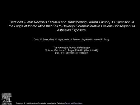 Reduced Tumor Necrosis Factor-α and Transforming Growth Factor-β1 Expression in the Lungs of Inbred Mice that Fail to Develop Fibroproliferative Lesions.