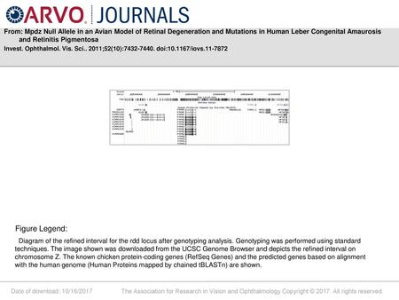 From: Mpdz Null Allele in an Avian Model of Retinal Degeneration and Mutations in Human Leber Congenital Amaurosis and Retinitis Pigmentosa Invest. Ophthalmol.