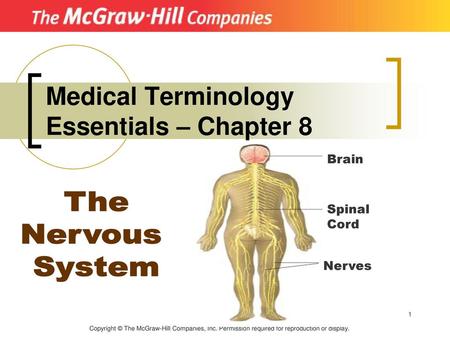 Medical Terminology Essentials – Chapter 8