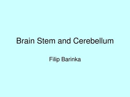 Brain Stem and Cerebellum