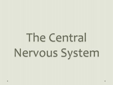 The Central Nervous System