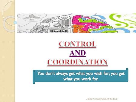 CONTROL AND COORDINATION