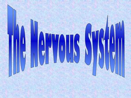 The Nervous System.