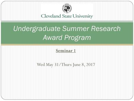 Undergraduate Summer Research Award Program