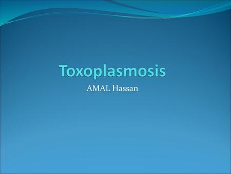 Toxoplasmosis AMAL Hassan.