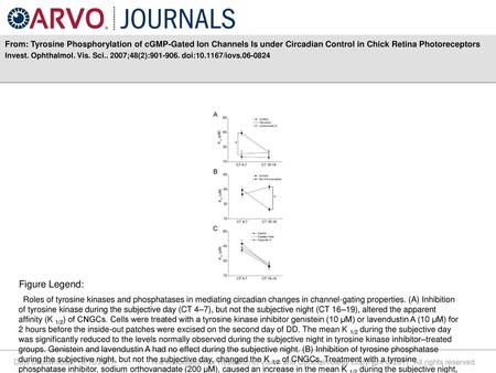 From: Tyrosine Phosphorylation of cGMP-Gated Ion Channels Is under Circadian Control in Chick Retina Photoreceptors Invest. Ophthalmol. Vis. Sci.. 2007;48(2):901-906.