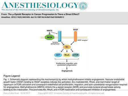 Anesthes. 2012;116(4): doi: /ALN.0b013e31824b9512 Figure Legend: