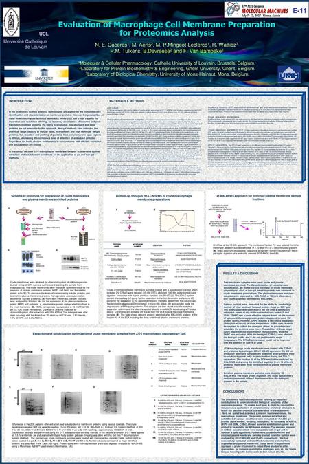 N. E. Caceres1, M. Aerts2, M. P. Mingeot-Leclercq1, R. Wattiez3, P. M