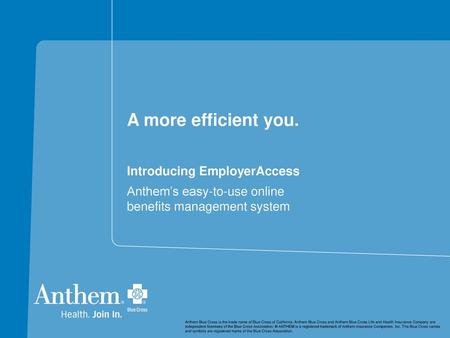 A more efficient you. Introducing EmployerAccess