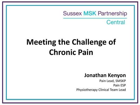 Meeting the Challenge of Chronic Pain