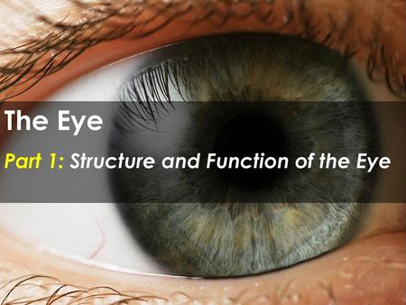 The Eye Part 1: Structure and Function of the Eye.