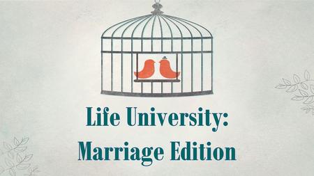 Life University: Marriage Edition