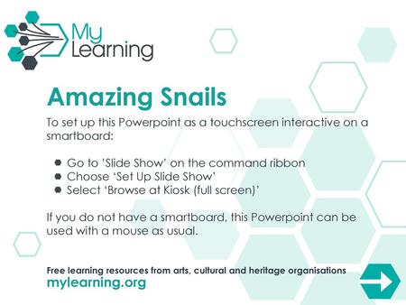 Amazing Snails mylearning.org