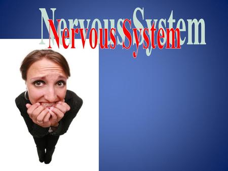 Nervous System.