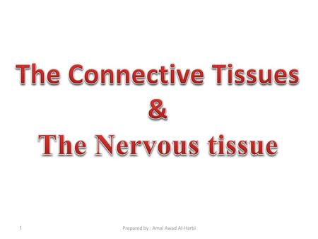 The Connective Tissues