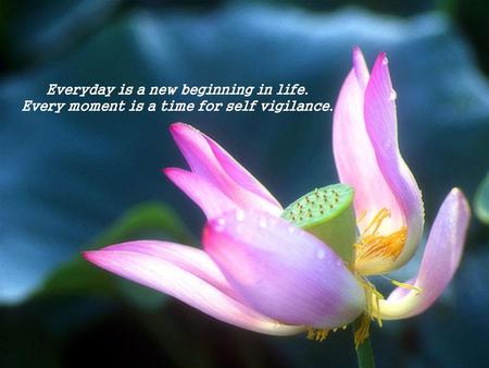 Everyday is a new beginning in life.