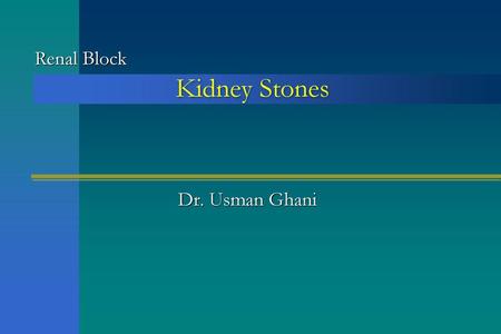 Renal Block Kidney Stones Dr. Usman Ghani.