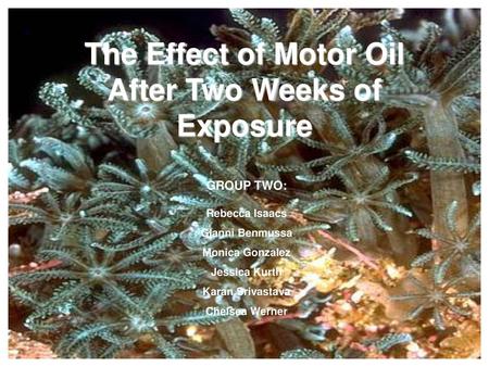 The Effect of Motor Oil After Two Weeks of Exposure