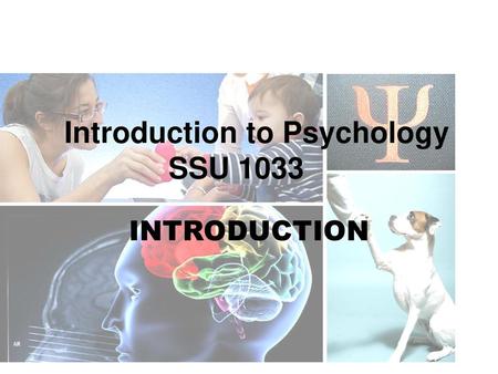 Introduction to Psychology SSU 1033