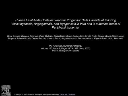 Human Fetal Aorta Contains Vascular Progenitor Cells Capable of Inducing Vasculogenesis, Angiogenesis, and Myogenesis in Vitro and in a Murine Model of.