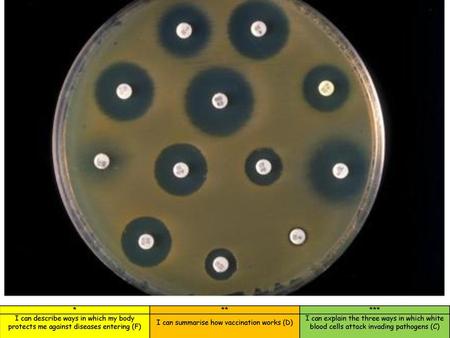 Odd one out Swine flu common cold herpes simplex (cold sore)