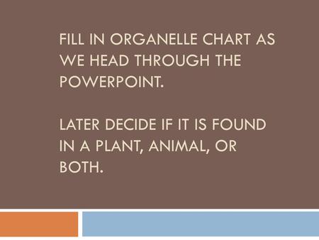 Fill in Organelle Chart as we head through the powerpoint