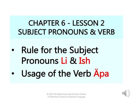 CHAPTER 6 - LESSON 2 SUBJECT PRONOUNS & VERB