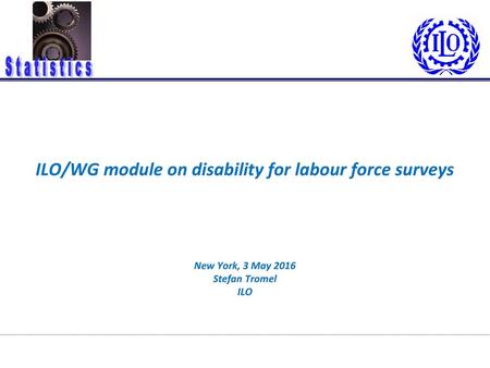 Objective To have information to allow monitoring of SDG 8 from the point of view of persons with disabilities and to be able to provide guidance to policy.