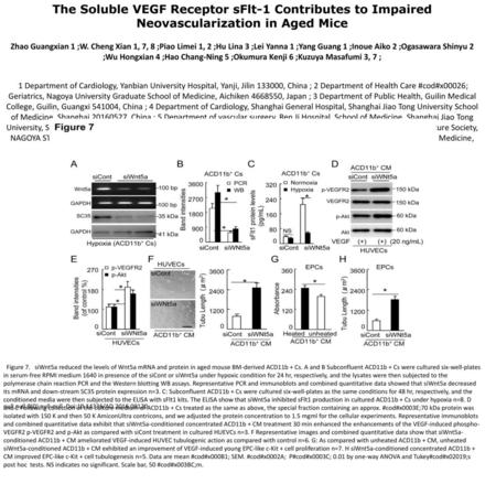 The Soluble VEGF Receptor sFlt-1 Contributes to Impaired Neovascularization in Aged Mice Zhao Guangxian 1 ;W. Cheng Xian 1, 7, 8 ;Piao Limei 1, 2 ;Hu Lina.