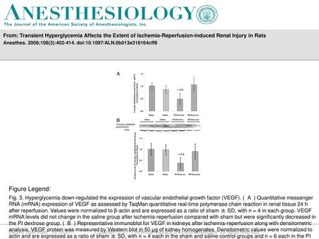 From: Transient Hyperglycemia Affects the Extent of Ischemia-Reperfusion-induced Renal Injury in Rats Anesthes. 2008;108(3):402-414. doi:10.1097/ALN.0b013e318164cff8.