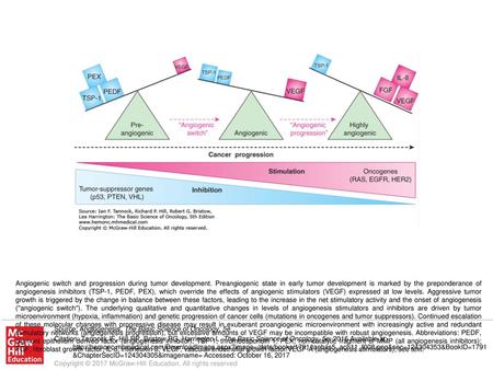 Angiogenic switch and progression during tumor development