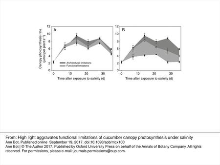 Fig. 1. Architectural limitations (dark grey area) and functional limitation (light grey filled with forward diagonal lines) of canopy photosynthesis rate.