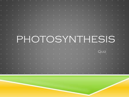 Photosynthesis Quiz.