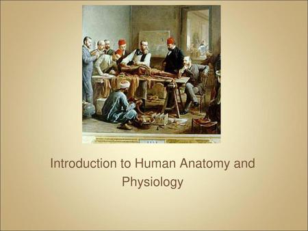 Introduction to Human Anatomy and Physiology